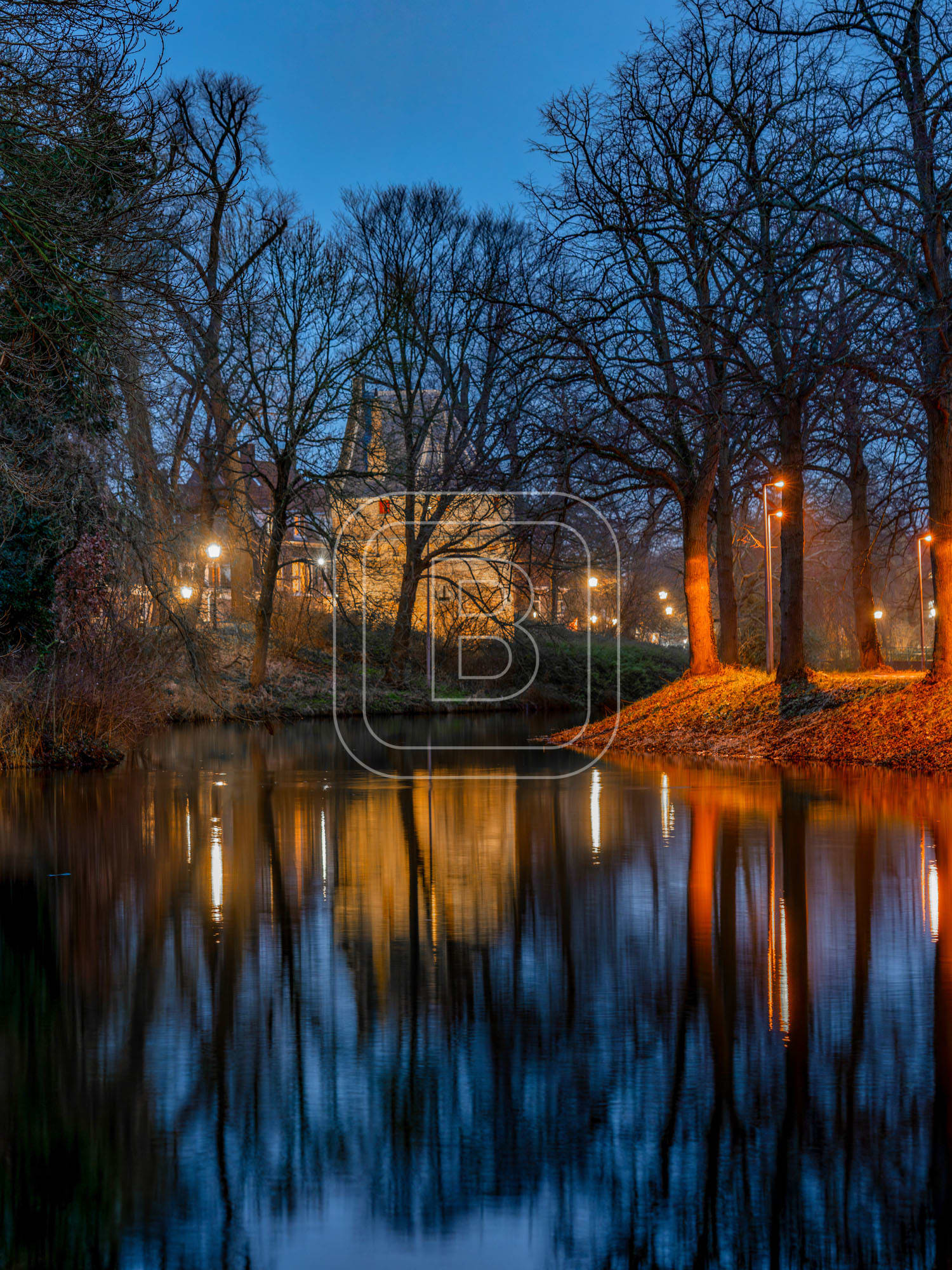 KRUITTOREN_DRAAFSINGEL_WINTER