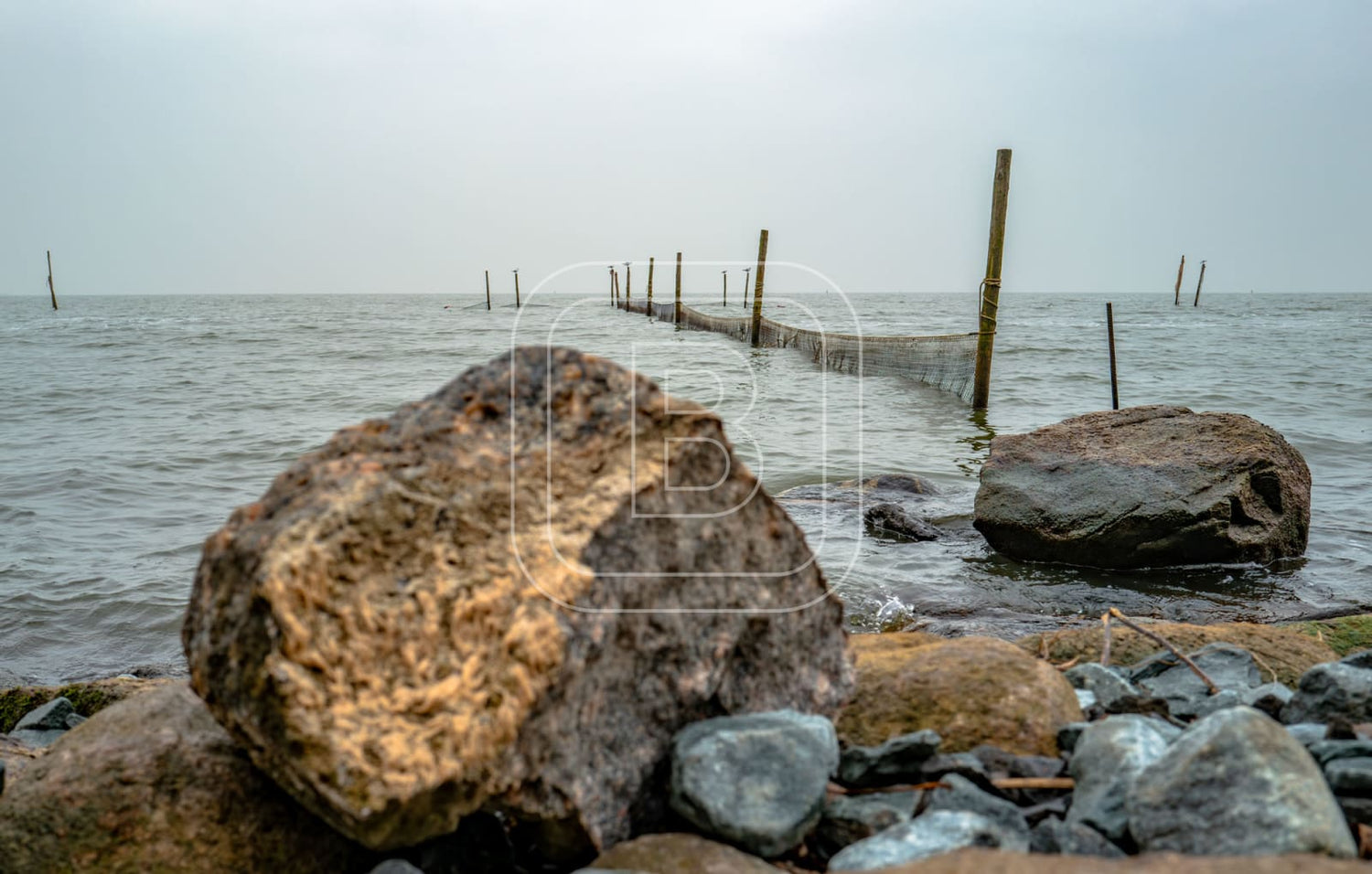 STILLEVEN_KUST