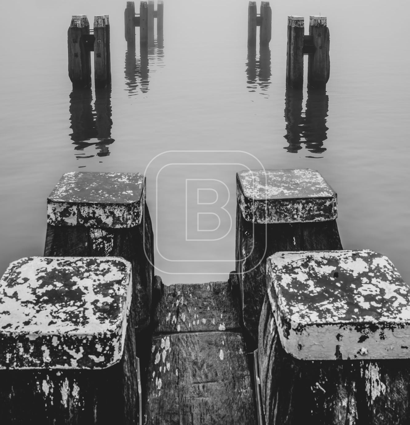STILLEVEN_KUST