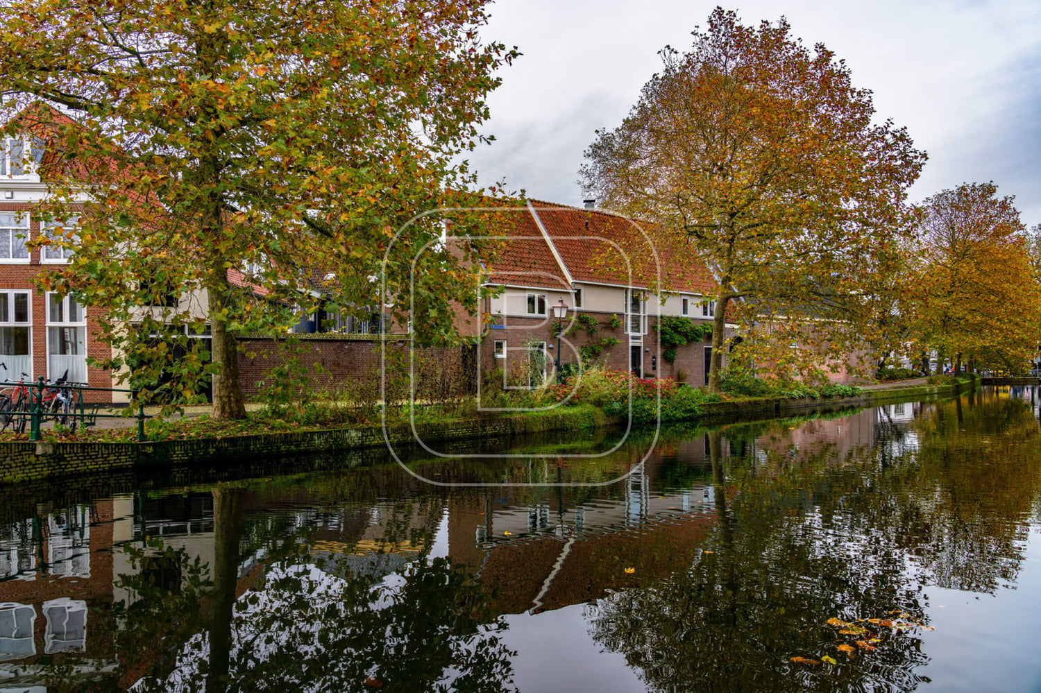ONDER_DE_BOOMPJES