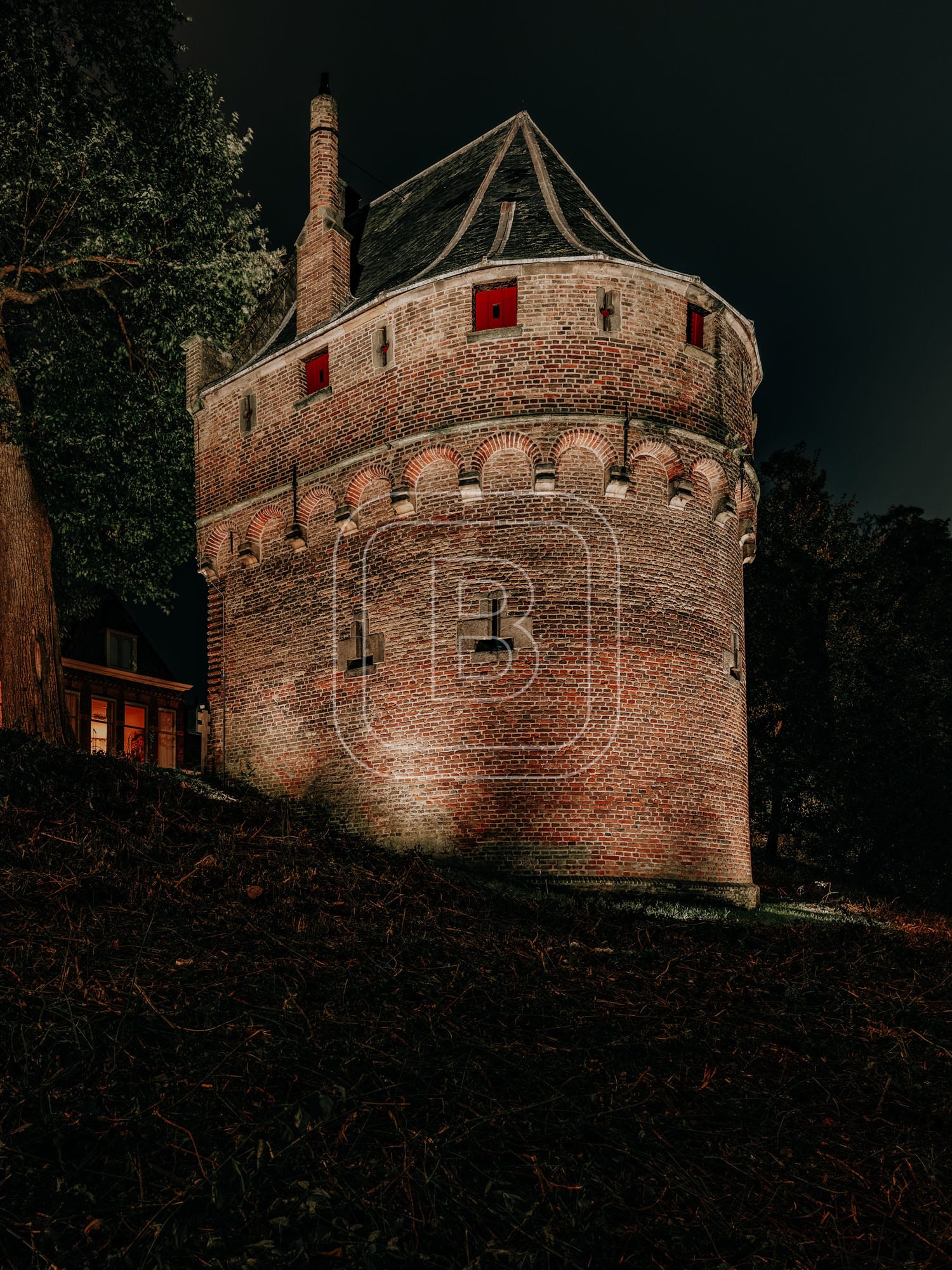 KRUITTOREN_DRAAFSINGEL_HERFST