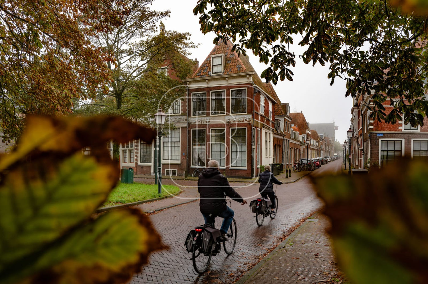 GROTE_OOST_BOSSUHUIZEN