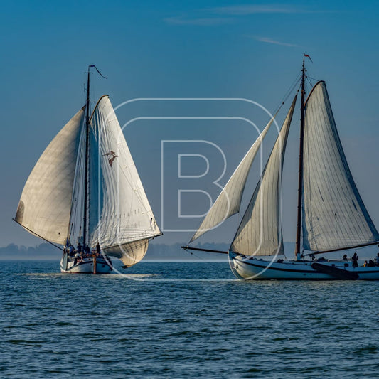 overzicht