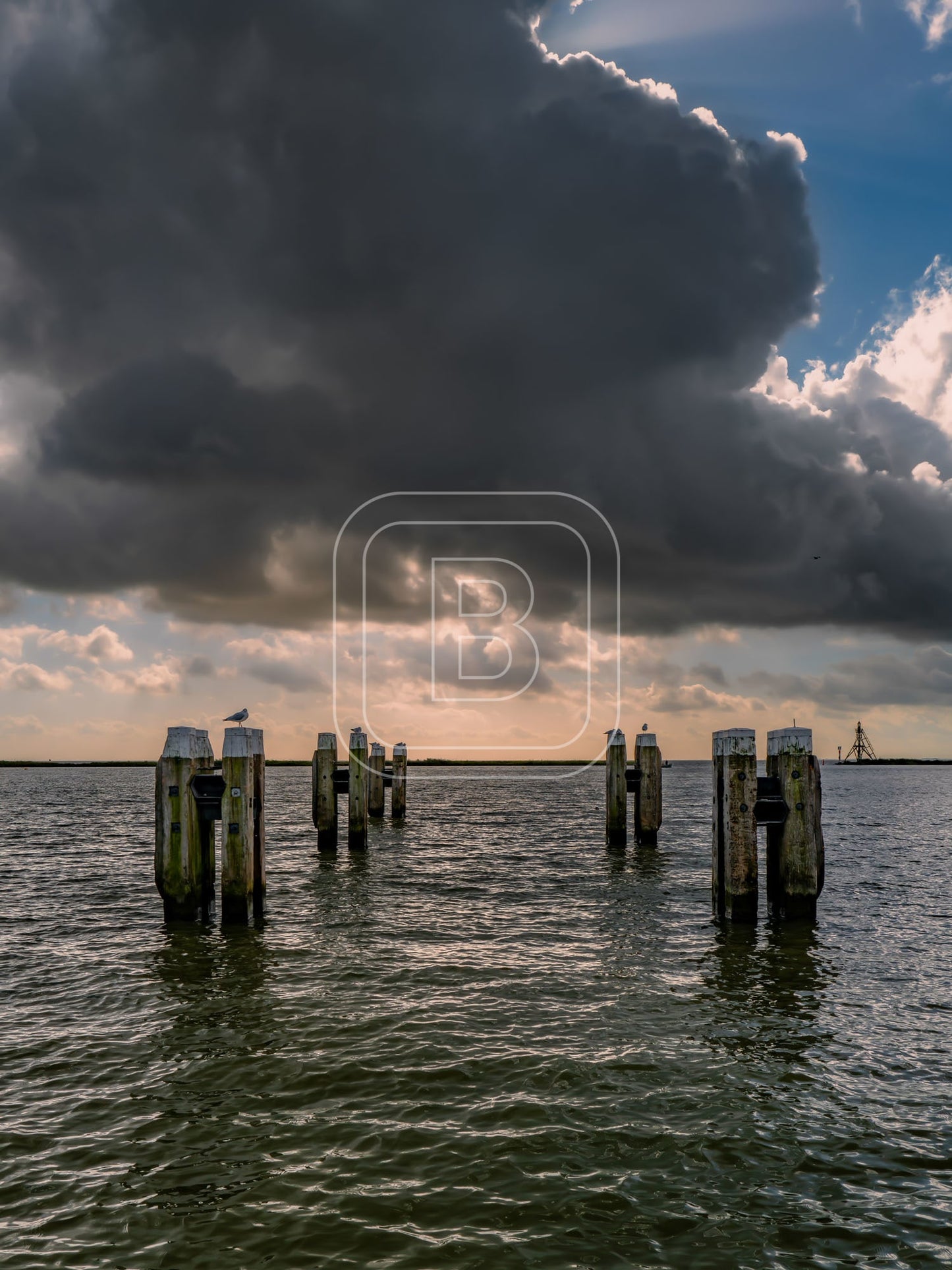 STILLEVEN_KUST