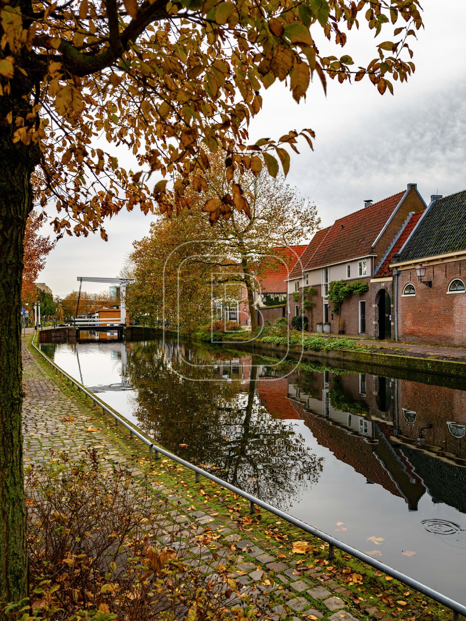 ONDER_DE_BOOMPJES