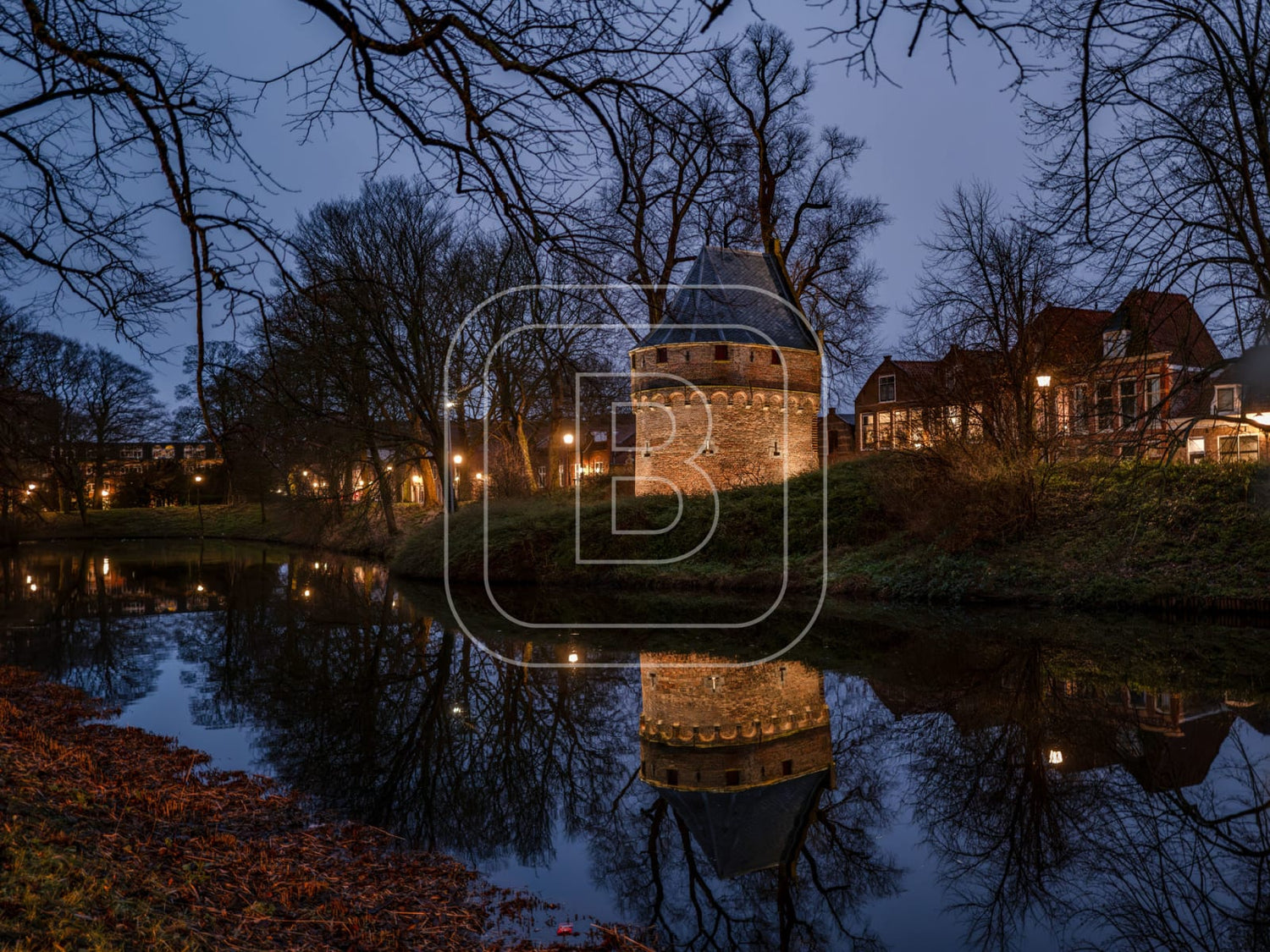 KRUITTOREN_DRAAFSINGEL_WINTER