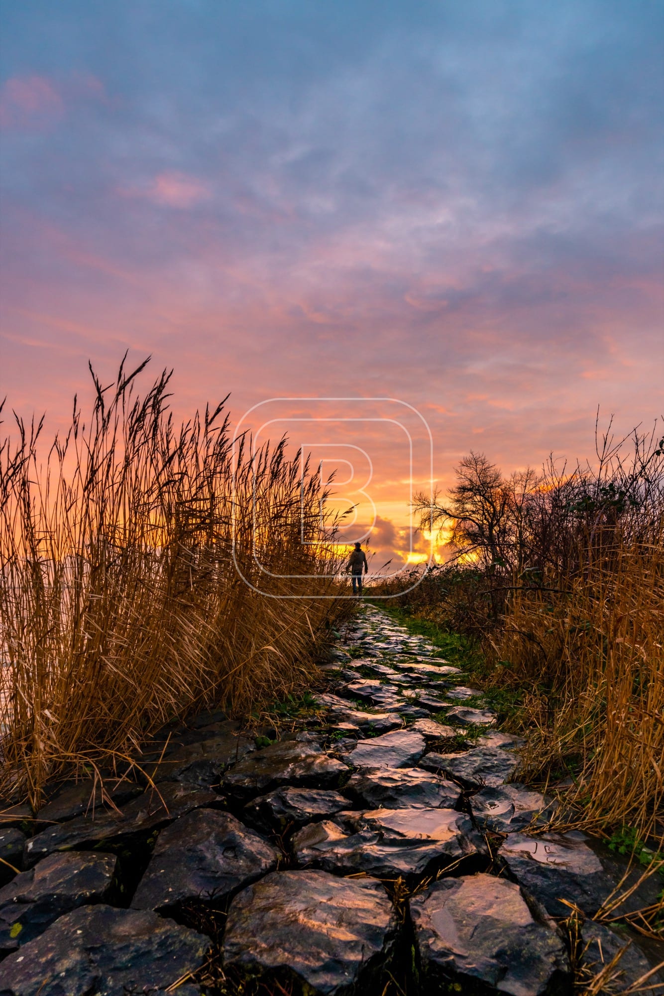 LANDSCHAP_LANTAARNDIJK