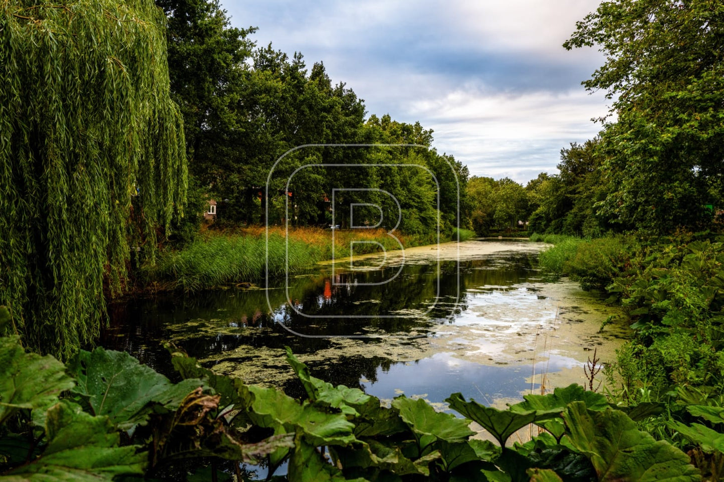 landschap_westersingel_liggend