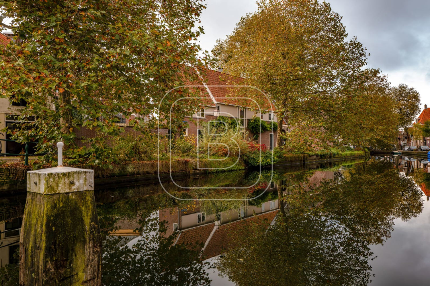 ONDER_DE_BOOMPJES