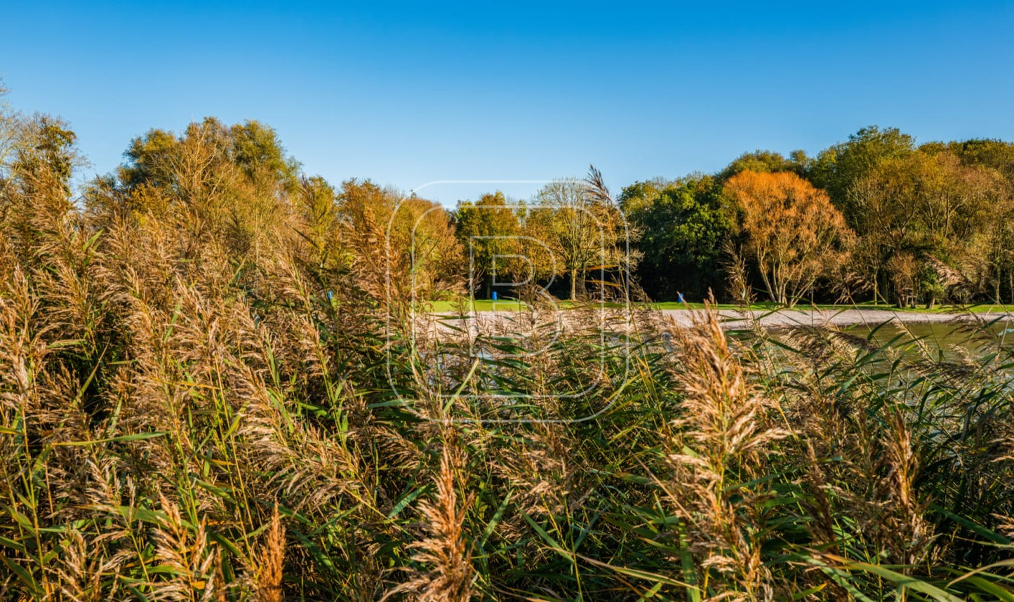 landschap_juliana[ark_liggend