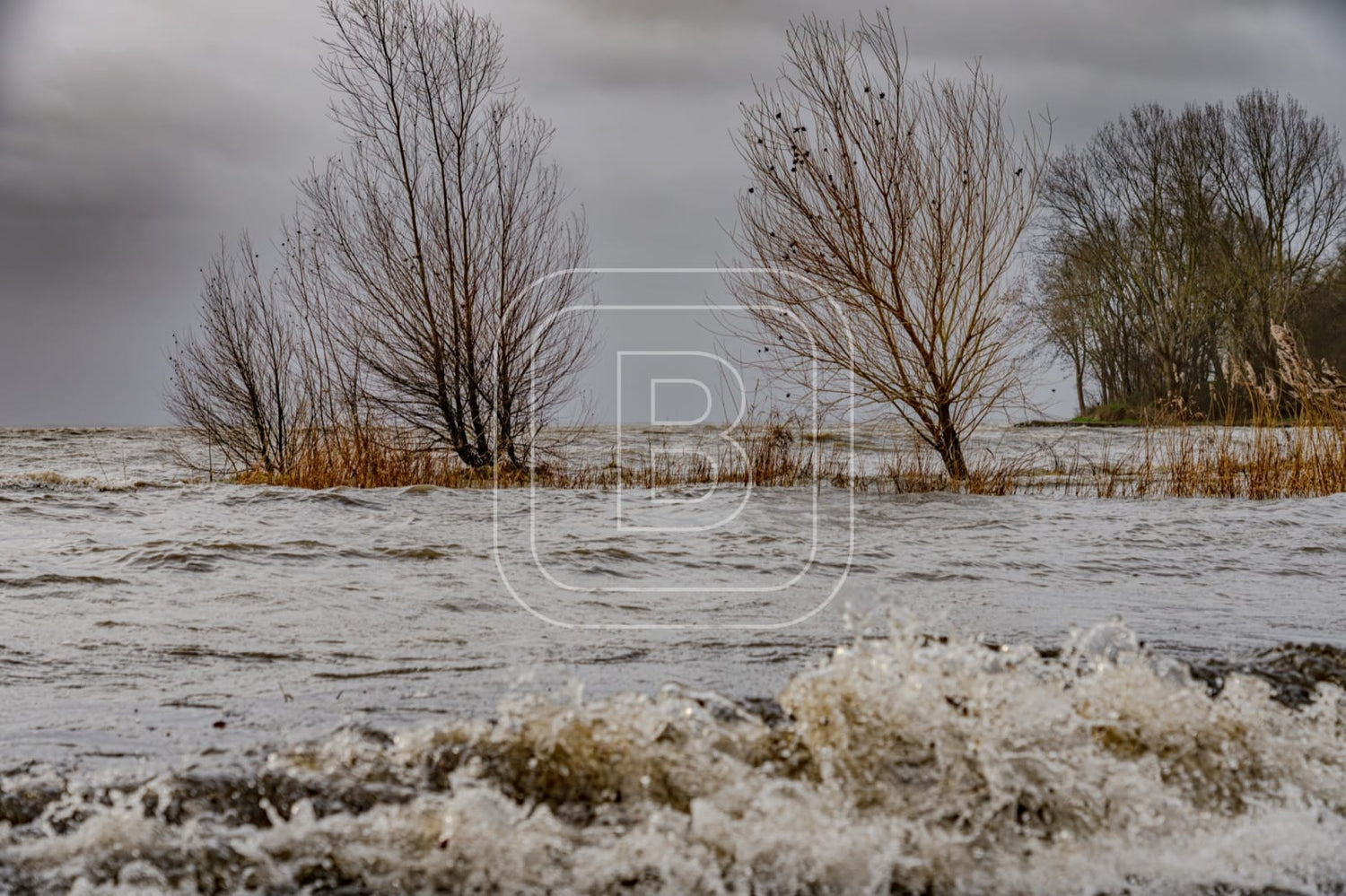 landschap_onstuimig_julianapark_liggend