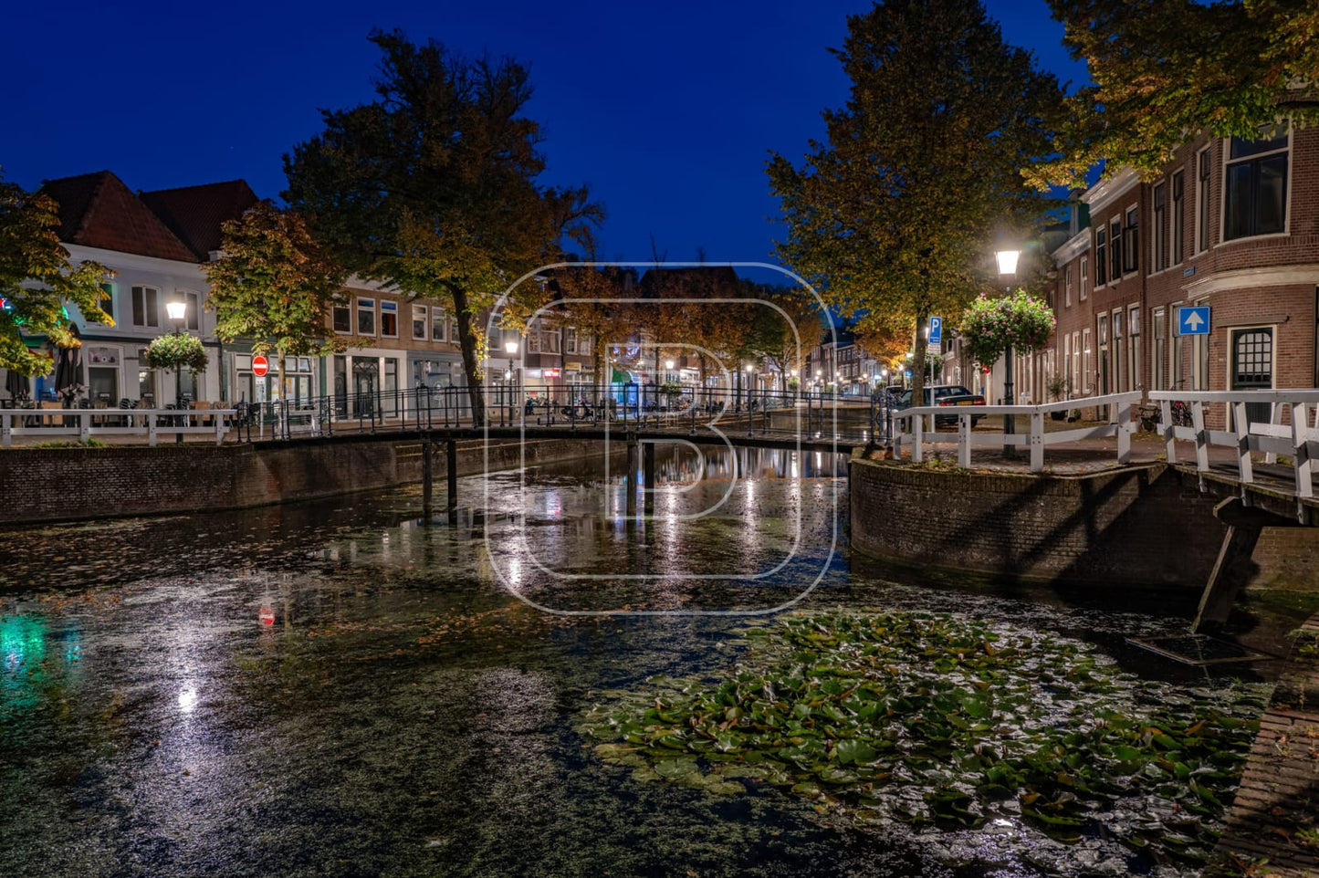 NIEUWLAND_KIPPEBRUGGETJE