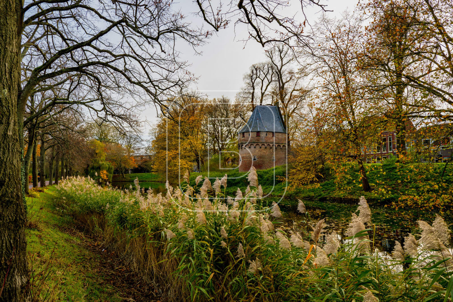 KRUITTOREN_DRAAFSINGEL_HERFST