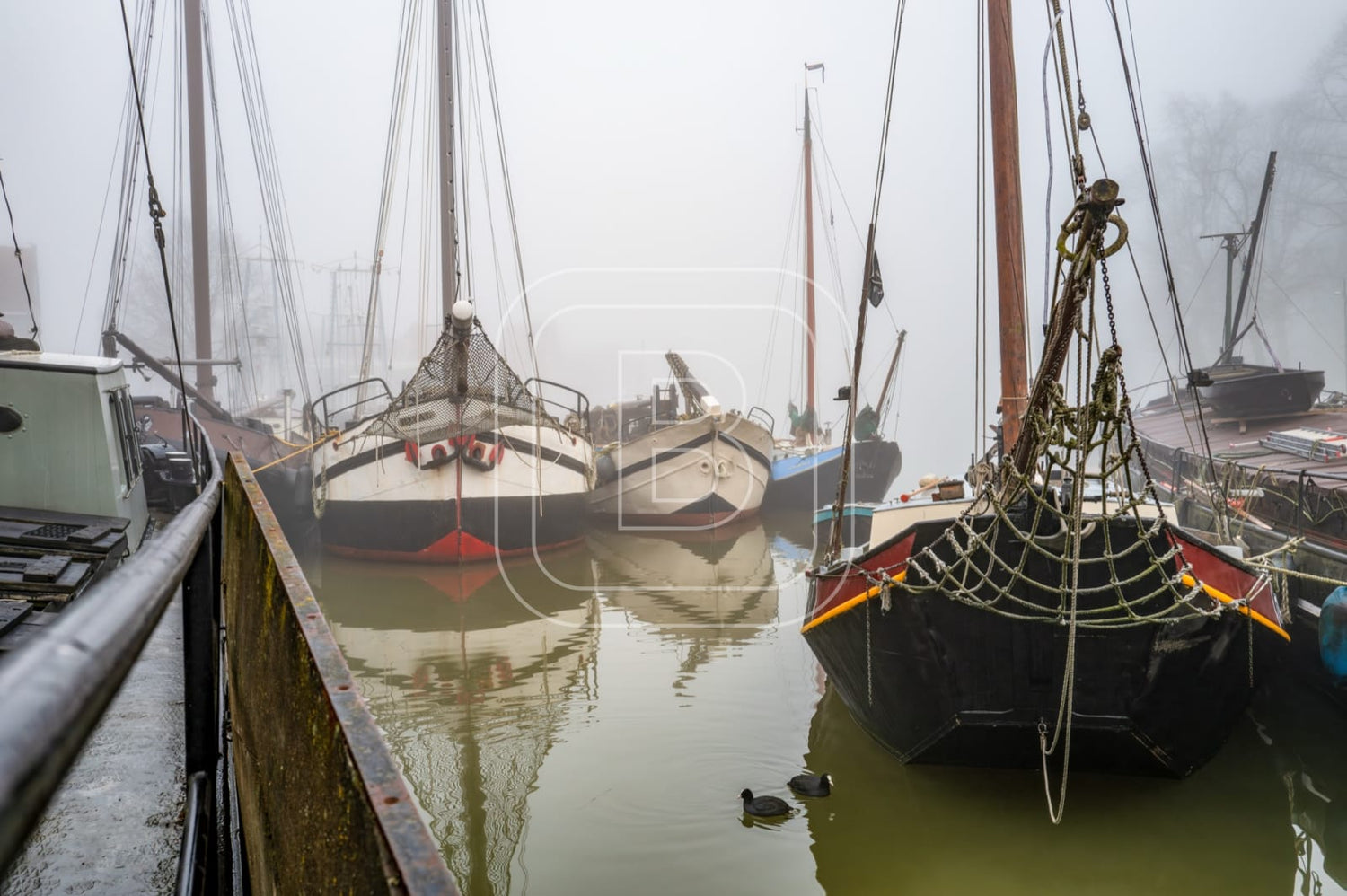 HAVENBEELD_BINNENHAVEN