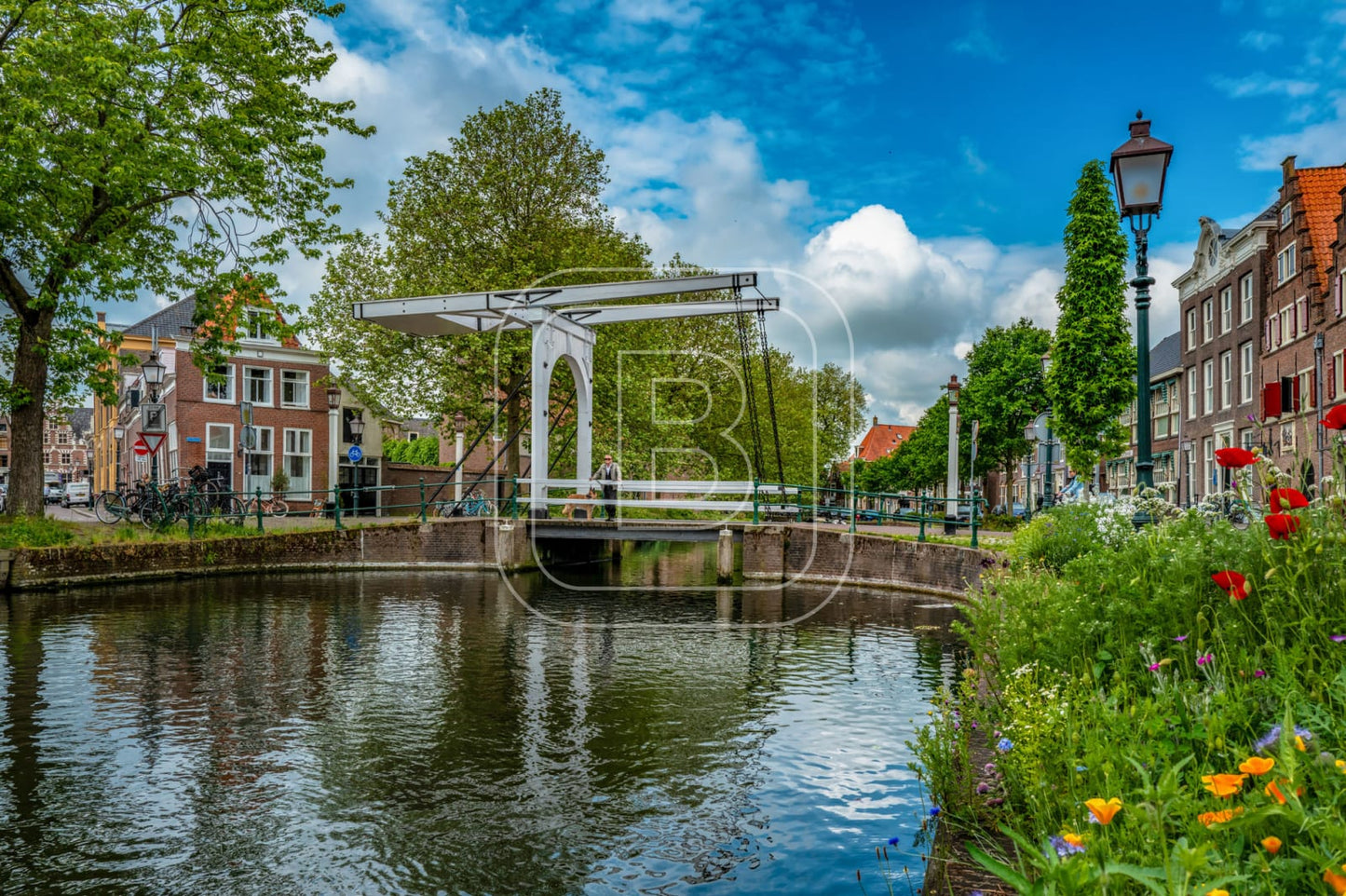 ONDER_DE_BOOMPJES