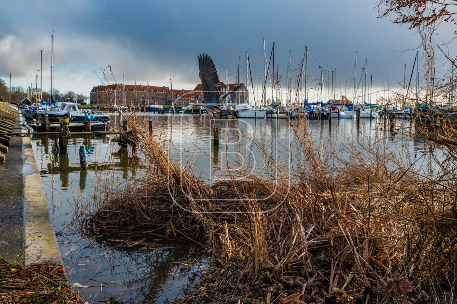 GRASHAVEN_OOSTEREILAND_WINTER_REIGER