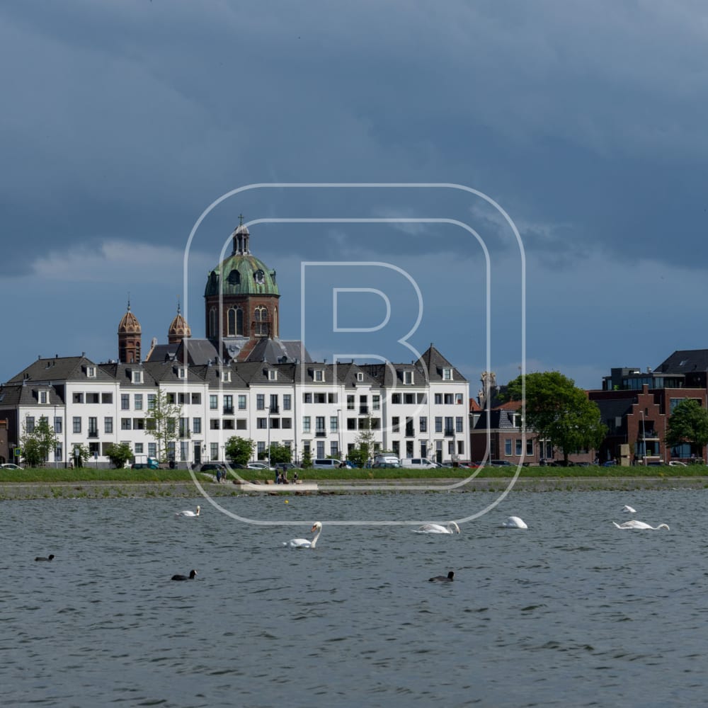 overzicht