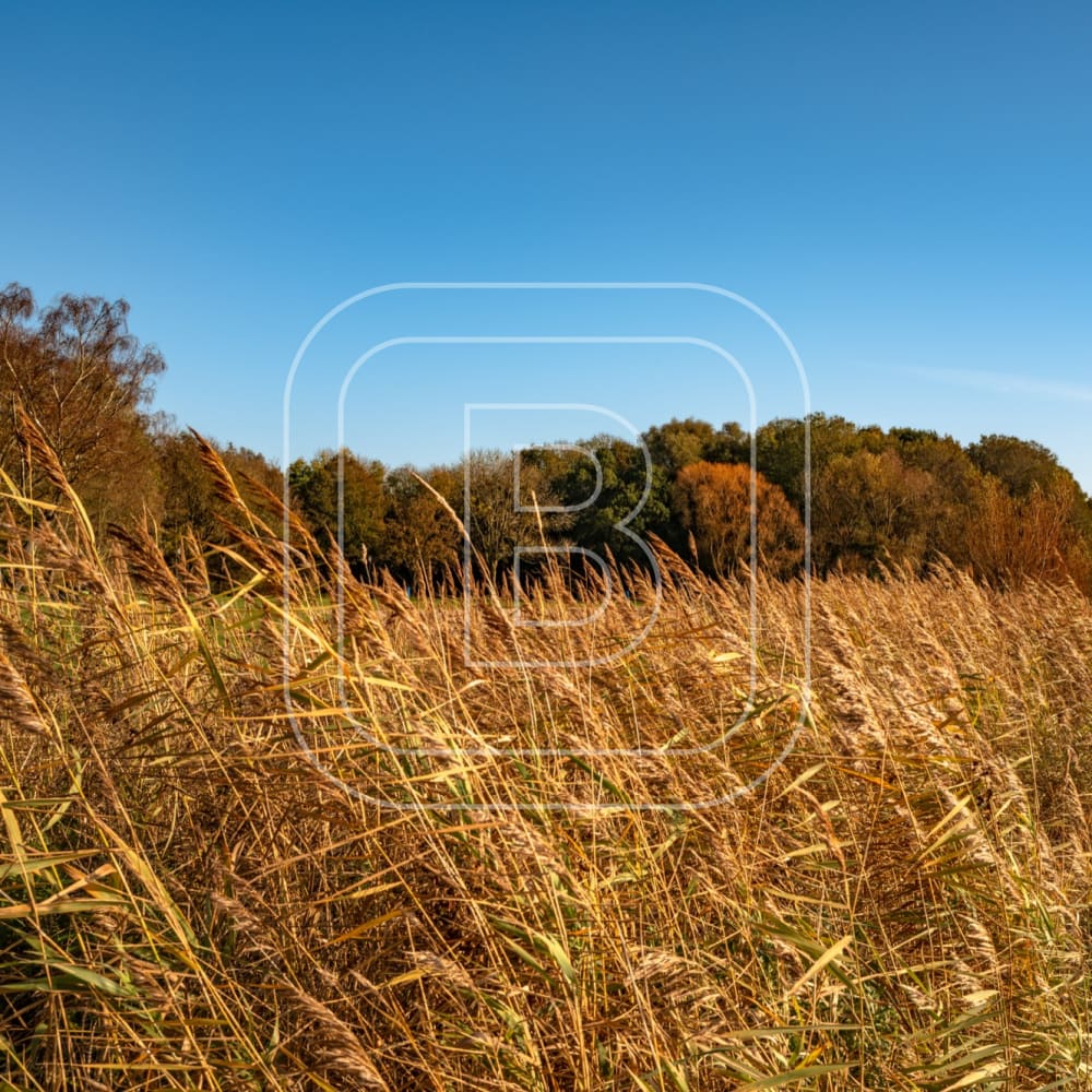 overzicht