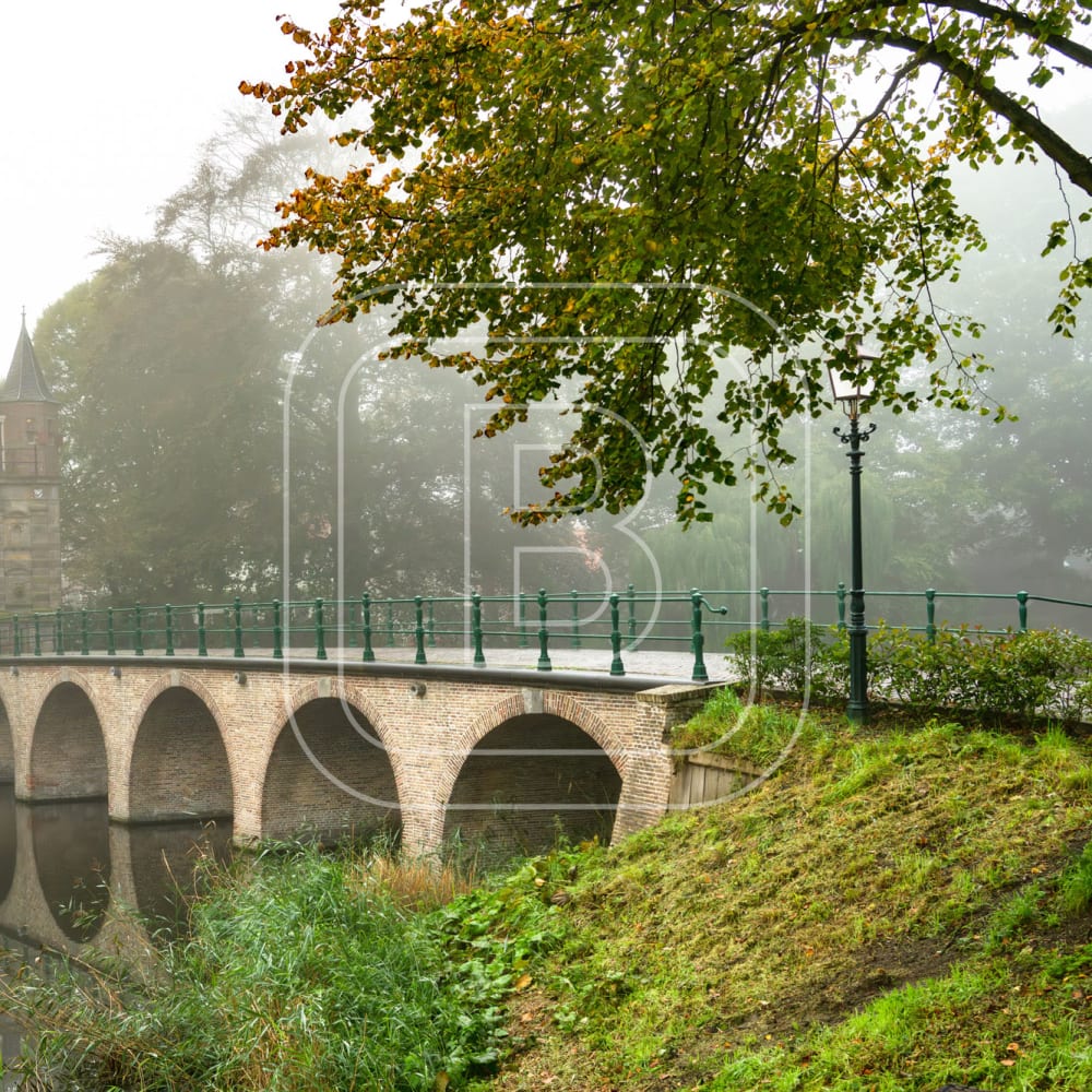 overzicht