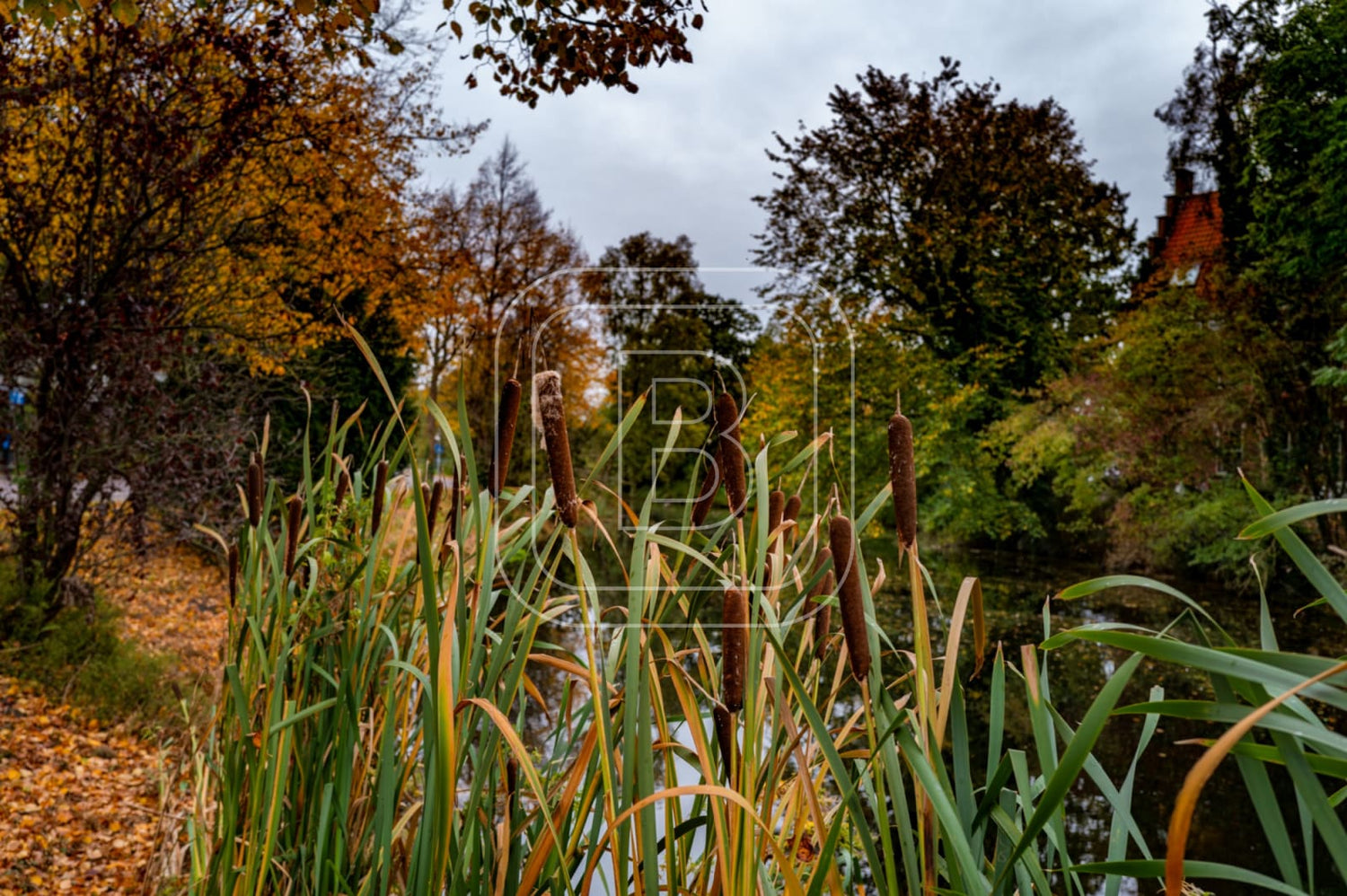landschap_spoorsingel_liggend