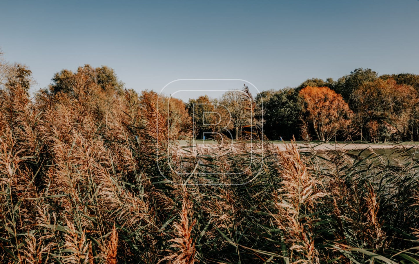 landschap_julianapark_liggend