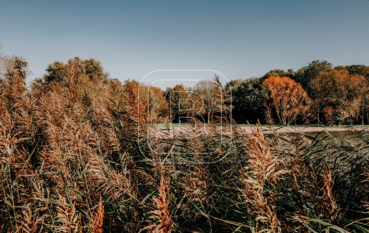landschap_julianapark_liggend