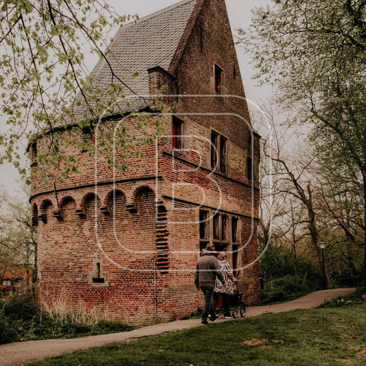 overzicht