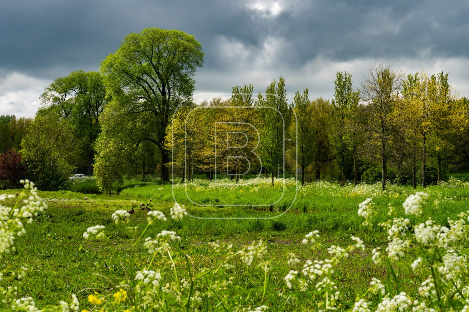 LANDSCHAP_DE_HULK