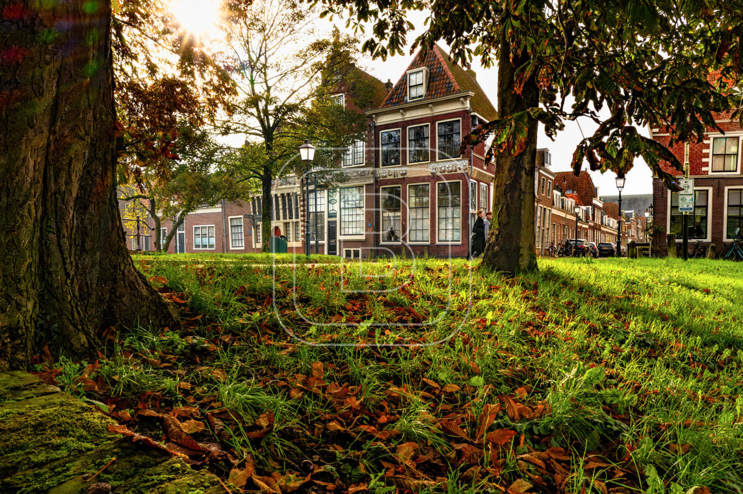 GROTE_OOST_BOSSUHUIZEN
