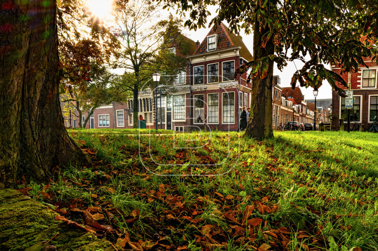 GROTE_OOST_BOSSUHUIZEN