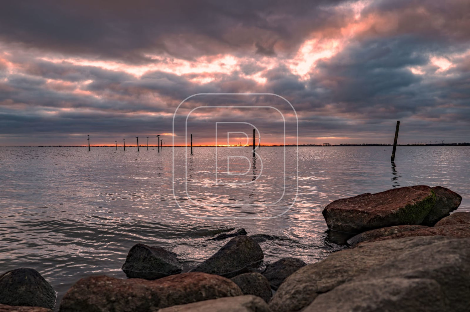 STILLEVEN_KUST