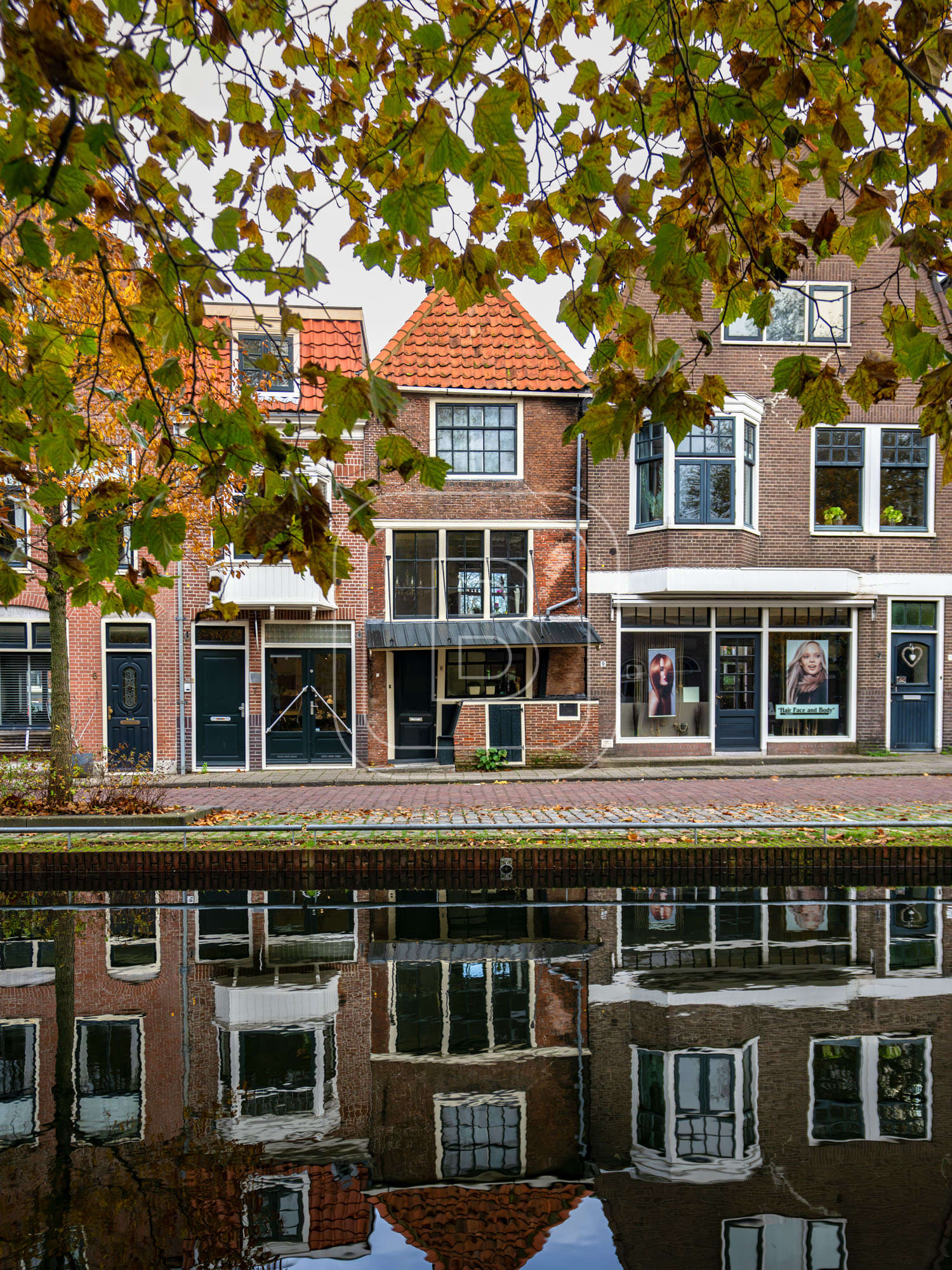 ONDER_DE_BOOMPJES