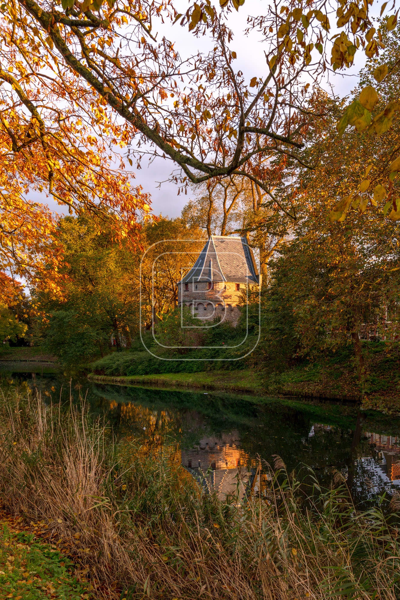KRUITTOREN_DRAAFSINGEL_HERFST