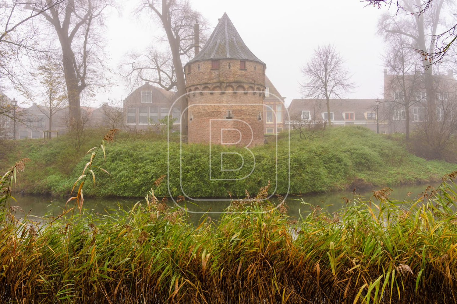 KRUITTOREN_DRAAFSINGEL_HERFST