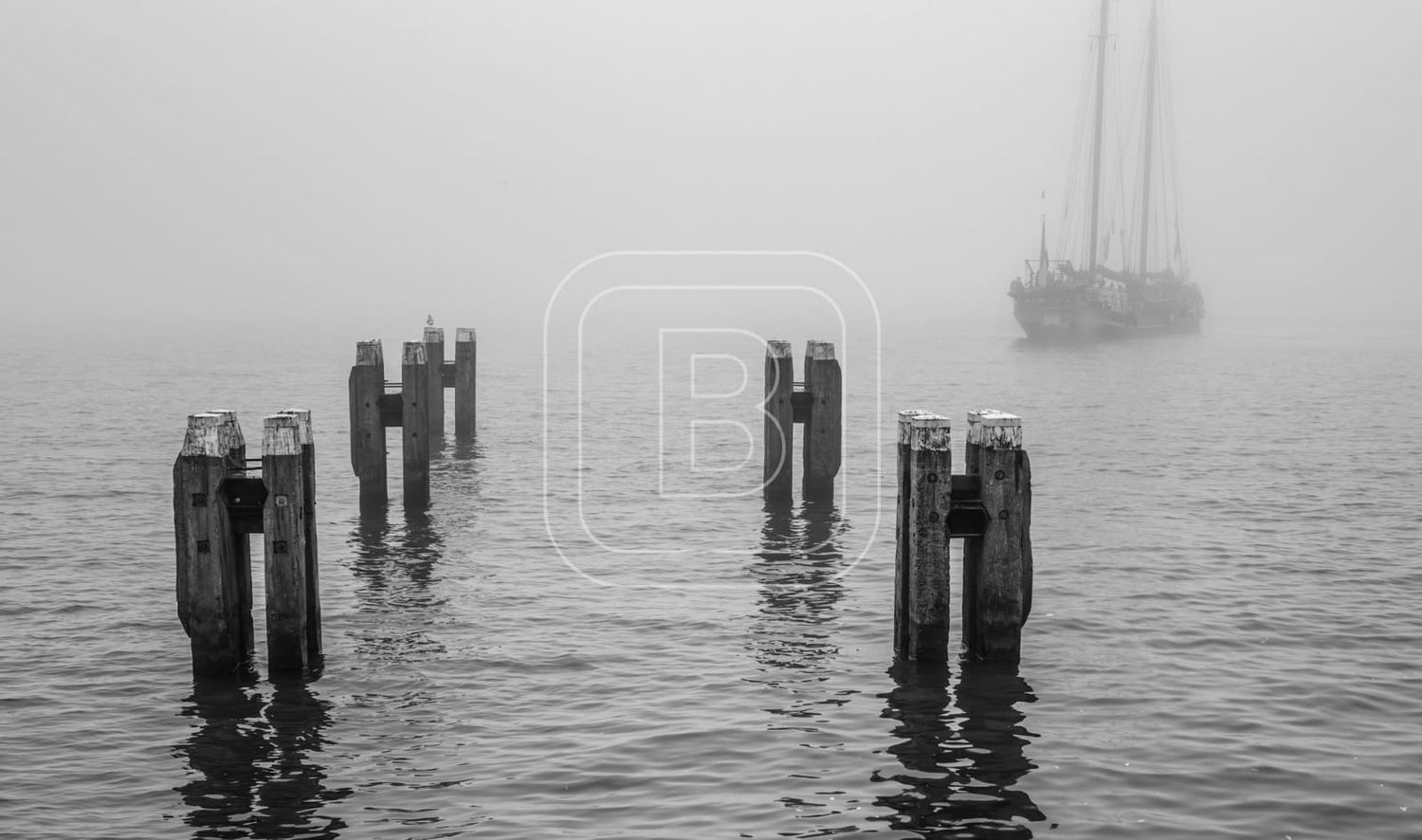 STILLEVEN_KUST
