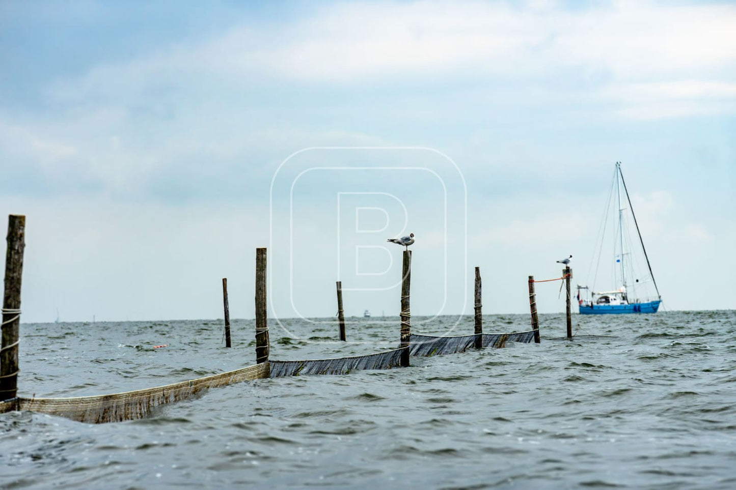 STILLEVEN_KUST