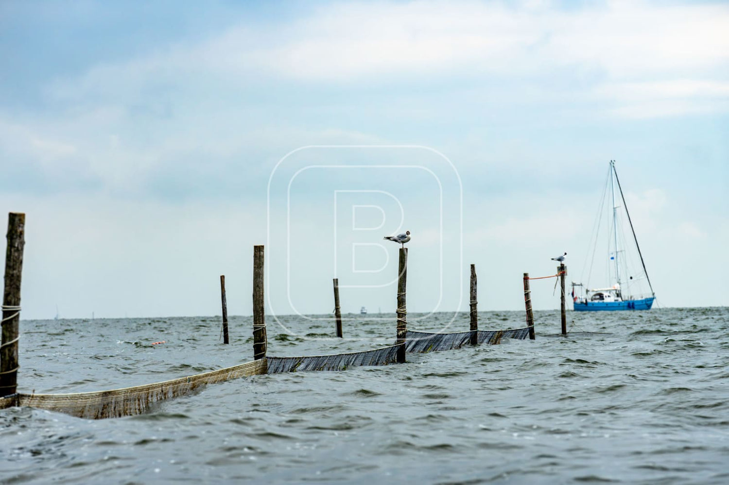 STILLEVEN_KUST